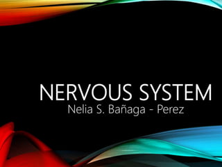 NERVOUS SYSTEM
Nelia S. Bañaga - Perez
 
