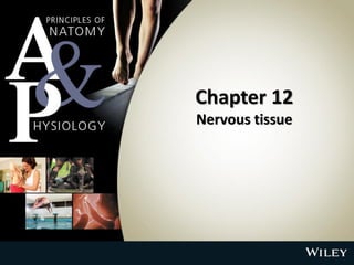 Chapter 12
Nervous tissue
 