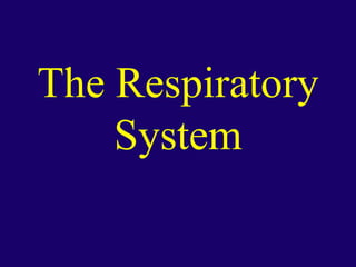 Anaphysio ch 15   respiratory93