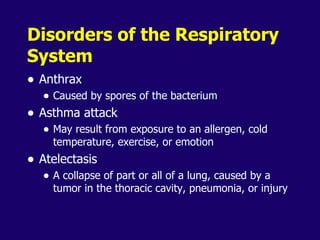 Anaphysio ch 15   respiratory93