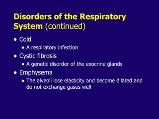 Anaphysio ch 15   respiratory93