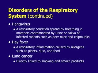 Anaphysio ch 15   respiratory93