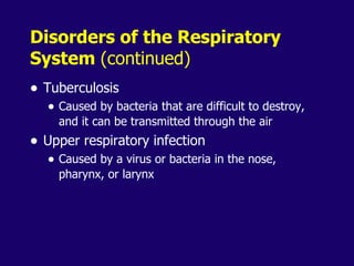 Anaphysio ch 15   respiratory93