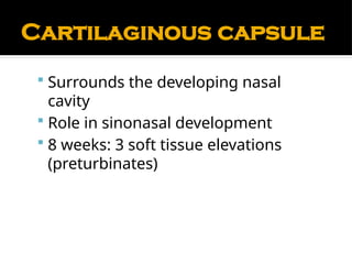 Comprehensive Anatomy and Physiology of the Nose and Paranasal Sinuses ...