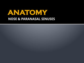 Comprehensive Anatomy and Physiology of the Nose and Paranasal Sinuses ...