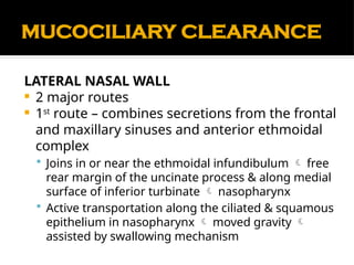 Comprehensive Anatomy and Physiology of the Nose and Paranasal Sinuses ...