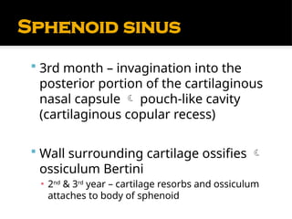 Comprehensive Anatomy and Physiology of the Nose and Paranasal Sinuses ...