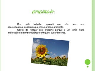 Com este trabalho aprendi que nós, sem nos
apercebermos, destruímos o nosso próprio ambiente.
         Gostei de realizar este trabalho porque é um tema muito
interessante e também porque enriqueci culturalmente.
 