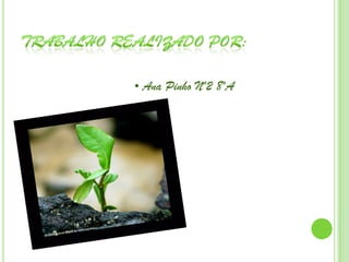 • Ana Pinho Nº2 8ºA
 