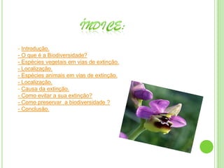 - Introdução.
- O que é a Biodiversidade?
- Espécies vegetais em vias de extinção.
- Localização.
- Espécies animais em vias de extinção.
- Localização.
- Causa da extinção.
- Como evitar a sua extinção?
- Como preservar a biodiversidade ?
- Conclusão.
 
