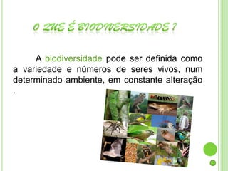 A biodiversidade pode ser definida como
a variedade e números de seres vivos, num
determinado ambiente, em constante alteração
.
 