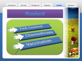 Introduction

Life Cycle

Pathogenesis

Diagnosis

Control

Questions

 