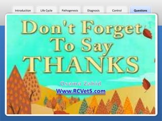 Introduction

Life Cycle

Pathogenesis

Diagnosis

Control

Questions

 