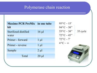 Polymerase chain reaction


Maxime PCR PreMix in one tube     950С – 15’
kit                               940С – 30’’
Sterilized distilled   16 µl      550С – 30’’   35 cycle
water                             720С – 45’’
Primer - forward       1 µl       720С – 7’
                                  40С - ∞
Primer - reverse       1 µl
Sample                 2 µl
             Total     20 µl
 