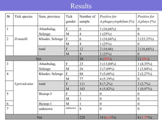 Results
№   Tick species    Sum, province   Tick     Number of   Positive for          Positive for
                                    gender   sample      A.phagocytophilum (%) A.platys (%)

1                  Altanbulag,     F         6           1 (16,66%)             0
                   Selenge         M         4           1 (25%)                0
2   D.nutalli      Khuder, Selenge F         6           1 (16,66%)             2 (33,33%)
                                   M         4           1 (25%)                0
                   total           F         12          2 (16,66)              2 (16,66%)
                                   M         8           2 (25%)                0
                  Net                        20          4 (20%)                2 (10%)
3                  Altanbulag,     F         23          3 (13,04%)             1 (4,35%)
                   Selenge         M         26          2 (7,69%)              1 (3,84%)
4                  Khuder, Selenge F         88          5 (5,68%)              2 (2,27%)
                                   M         77          4 (5,19%)              0
    I.persulcatus  total           F         111         8 (7,2%)               3 (2,7%)
                                   M         103         6 (5,82%)              1 (0,97%)
5                  Biotop-3        F         3           0                      0
                                   M         2           0                      0
6                  Biotop-1        M         1           0                      0
7                  unknown         unknown   8           0                      0

                   Net                       228         14 (6,14%)             4 (1,75%)
 