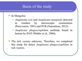 Basis of the study

   In Mongolia:
      Anaplasma ovis and Anaplasma marginale detected
       in   reindeer   by     microscopic   examination
       (Purevsuren, 1981) and PCR (Nansalmaa, 2012).
      Anaplasma phagocytophilum antibody found in
       human by IFAT (Walder et al., 2006).

   The tick vectors unknown. Therefore, we completed
    this study for detect Anaplasma phagocytophilum in
    tick vectors.
 