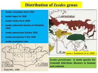 Distribution of Ixodes genus
•    Ixodes crenulatus Koch 1935
•    Ixodes laguri ol 1928
•    Ixodes lividus Koch 1844
•    Ixodes arboricola Schulze et Schlottke
     1929
•    Ixodes passericola Schulze 1933
•    Ixodes persulcatus P.Sch 1930
•    Ixodes prokopheri Jem



                                                           Jesse I. Goodman et al, 2005

                                              Ixodes persulcatus is main species for
                                              transmit infectious diseases to human
                                              and animals
    Dash Mo., 1986
 