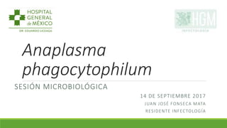 Anaplasma
phagocytophilum
SESIÓN MICROBIOLÓGICA
14 DE SEPTIEMBRE 2017
JUAN JOSÉ FONSECA MATA
RESIDENTE INFECTOLOGÍA
 
