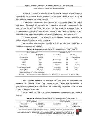 REVISTA CIENTÍFICA ELETRÔNICA DE MEDICINA VETERINÁRIA – ISSN: 1679-7353
Revista Científica Eletrônica de Medicina Veterinária é uma publicação semestral da Faculdade de Medicina
Veterinária e Zootecnia de Garça – FAMED/FAEF e Editora FAEF, mantidas pela Associação Cultural e
Educacional de Garça ACEG. Rua das Flores, 740 – Vila Labienópolis – CEP: 17400-000 – Garça/SP – Tel.: (0**14)
3407-8000 www.revista.inf.br – www.editorafaef.com.br – www.faef.br.
Ano VII – Número 13 – Julho de 2009 – Periódicos Semestral
A uréia e a creatina apresentavam-se normais. A proteína estava baixa por
diminuição da albumina. Havia aumento das enzimas hepáticas (AST e GGT)
indicando hepatopatia com concomitante.
O tratamento instituído foi oxitetraciclina 20 mg/kg/IM/de 48/48h por quatro
aplicações; Ganaseg® 3,5 mg/kg/IM em dose única; transfusão sanguínea (2L de
sangue com hematócrito 26%); dexametazona 0,05 mg/kg/IV em dose única; e
complementos vitamínicos: Mercepton® (Bravet LTDA., Rio de Janeiro - RJ),
Stimosoro® (JP Indústria farmacêutica SA., Ribeirão Preto-SP) e vitamina B12.
O animal retornou no dia 29/03/09, com hiporexia, não acompanhava os
outros animais do rebanho, e não ruminava.
As mucosas permaneciam pálidas e ictéricas, por isso repetiu-se o
hemograma, disposto na tabela 3.
Tabela 3. Valores dos resultados do hemograma do dia 31/03/09.
ERITOGRAMA LEUCOGRAMA
Hemácias 1.200.000/uL Leucócitos 20.890/uL
Hemoglobina 3,0 g/dL % Absoluto/uL
Hematócrito 10% Bastonetes 01 209
VCM 83 fl Segmentados 30 6.267
CHCM 30% Linfócitos 55 11.490
Proteína plasmática 5,8 g/dL Monócitos 12 2.507
Fibrinogênio 600 mg/dL Eosinófilos 02 408
Metarrubrícitos: 23 em 100 leucócitos
Observação: Acentuada anisocitose e policromasia. Presença de corpúsculos de Howell-Jolly.
Sem melhora evidente no hematócrito (VG), mas apresentando boa
resposta da medula óssea com metarrubrícitos, acentuada anisocitose e
policromase e presença de corpúsculo de Howell-Jolly, repetiu-se o VG no dia
01/04/09, estando este a 13%.
No dia 06/04/09, fez-se o último hemograma apresentado na tabela 4
abaixo:
Tabela 4. Valores dos resultados do hemograma do dia 06/04/09.
ERITOGRAMA LEUCOGRAMA
Hemácias 2.190.000/uL Leucócitos 10.925 uL
Hemoglobina 5,3 g/dL % Absoluto /uL
 