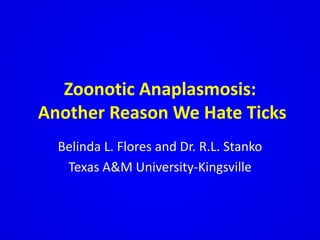 Zoonotic Anaplasmosis:   Another Reason We Hate Ticks Belinda L. Flores and Dr. R.L. Stanko Texas A&M University-Kingsville 