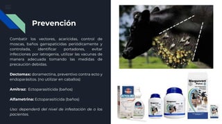 Prevención
Combatir los vectores, acaricidas, control de
moscas, baños garrapaticidas periódicamente y
controlada, identificar portadores, evitar
infecciones por iatrogenia, utilizar las vacunas de
manera adecuada tomando las medidas de
precaución debidas.
Dectomax: doramectina, preventivo contra ecto y
endoparásitos. (no utilizar en caballos)
Amitraz: Ectoparasiticida (baños)
Alfametrina: Ectoparasiticida (baños)
Uso: dependerá del nivel de infestación de o los
pacientes.
 