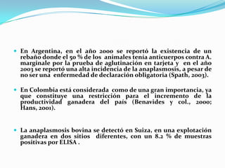  En Argentina, en el año 2000 se reportó la existencia de un
rebaño donde el 50 % de los animales tenía anticuerpos contra A.
marginale por la prueba de aglutinación en tarjeta y en el año
2003 se reportó una alta incidencia de la anaplasmosis, a pesar de
no ser una enfermedad de declaración obligatoria (Spath, 2003).
 En Colombia está considerada como de una gran importancia, ya
que constituye una restricción para el incremento de la
productividad ganadera del país (Benavides y col., 2000;
Hans, 2001).
 La anaplasmosis bovina se detectó en Suiza, en una explotación
ganadera en dos sitios diferentes, con un 8.2 % de muestras
positivas por ELISA .
 