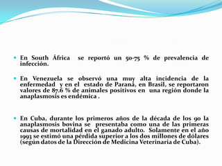  En South África se reportó un 50-75 % de prevalencia de
infección.
 En Venezuela se observó una muy alta incidencia de la
enfermedad y en el estado de Paraná, en Brasil, se reportaron
valores de 87.6 % de animales positivos en una región donde la
anaplasmosis es endémica .
 En Cuba, durante los primeros años de la década de los 90 la
anaplasmosis bovina se presentaba como una de las primeras
causas de mortalidad en el ganado adulto. Solamente en el año
1993 se estimó una pérdida superior a los dos millones de dólares
(según datos de la Dirección de Medicina Veterinaria de Cuba).
 