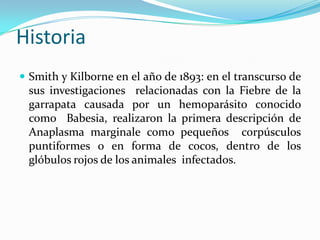 Historia
 Smith y Kilborne en el año de 1893: en el transcurso de
sus investigaciones relacionadas con la Fiebre de la
garrapata causada por un hemoparásito conocido
como Babesia, realizaron la primera descripción de
Anaplasma marginale como pequeños corpúsculos
puntiformes o en forma de cocos, dentro de los
glóbulos rojos de los animales infectados.
 
