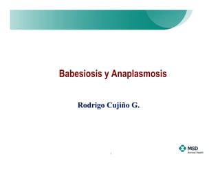 Babesiosis y Anaplasmosis


    Rodrigo Cujiño G.




            1
 