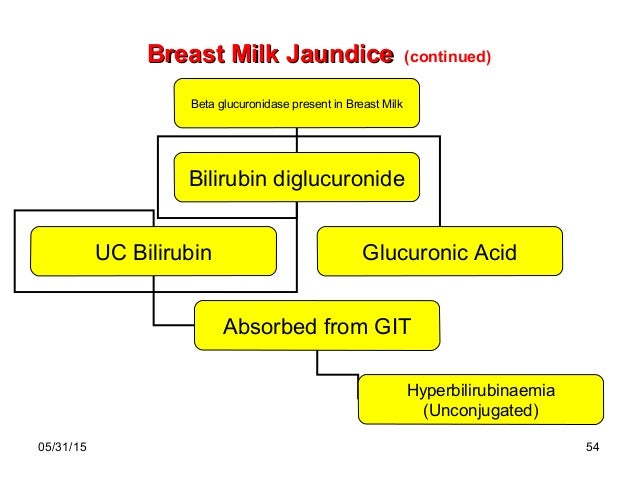 An approach to jaundice