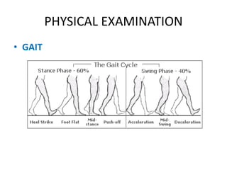 PHYSICAL EXAMINATION
• GAIT
 
