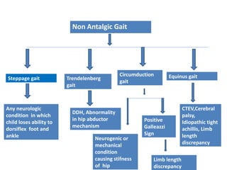 Non Antalgic Gait
Steppage gait
Any neurologic
condition in which
child loses ability to
dorsiflex foot and
ankle
Trendelenberg
gait
Circumduction
gait
Equinus gait
DDH, Abnormality
in hip abductor
mechanism
CTEV,Cerebral
palsy,
Idiopathic tight
achillis, Limb
length
discrepancy
Neurogenic or
mechanical
condition
causing stifness
of hip
Positive
Galleazzi
Sign
Limb length
discrepancy
 