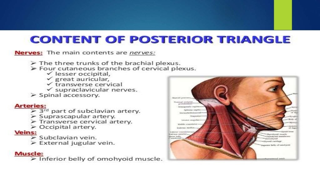 An approach to the neck mass
