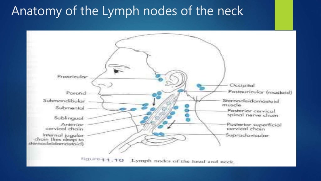 An approach to the neck mass