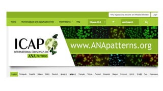 ANA PRACTICAL AND CLINICALfinal (1).pptx