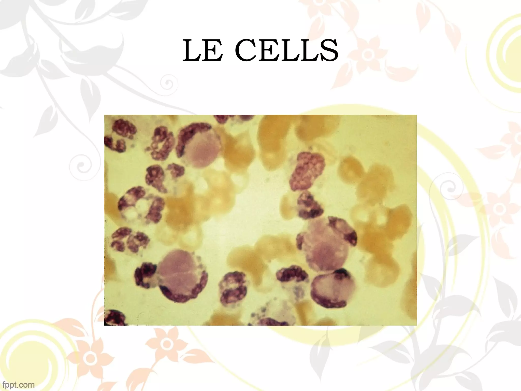 LE CELLS
 