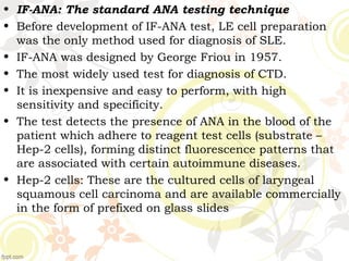 • IF-ANA: The standard ANA testing technique
• Before development of IF-ANA test, LE cell preparation
was the only method used for diagnosis of SLE.
• IF-ANA was designed by George Friou in 1957.
• The most widely used test for diagnosis of CTD.
• It is inexpensive and easy to perform, with high
sensitivity and specificity.
• The test detects the presence of ANA in the blood of the
patient which adhere to reagent test cells (substrate –
Hep-2 cells), forming distinct fluorescence patterns that
are associated with certain autoimmune diseases.
• Hep-2 cells: These are the cultured cells of laryngeal
squamous cell carcinoma and are available commercially
in the form of prefixed on glass slides
 