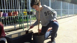 ΑΝΑΠΤΥΣΣΟΥΜΕ ΠΕΡΙΒΑΛΛΟΝΤΙΚΗ ΔΡΑΣΗ ΚΑΙ ΠΕΡΙΒΑΛΛΟΝΤΙΚΗ ΣΥΝΕΙΔΗΣΗ ΚΑΛΛΙΕΡΓΟΥΜΕ ΕΠΟΧΙΑΚΑ ΛΑΧΑΝΙΚΑ, ΒΟΤΑΝΑ, ΚΑΡΠΟΦΟΡΑ ΔΕΝΤΡΑ. ΣΕΒΟΜΑΣΤΕ ΤΟ ΦΥΣΙΚΟ ΠΕΡΙΒΑΛΛΟΝ