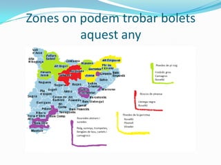 Zones on podem trobar bolets
aquest any

 