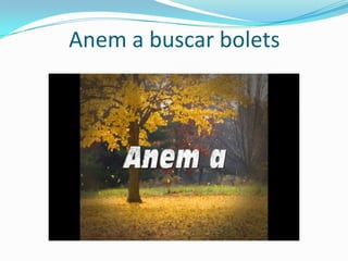 Anem a buscar bolets

 