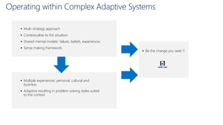 An architects framework for navigating complexity | PDF
