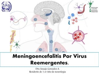 Meningoencefalitis Por Virus
Reemergentes.
Dra Azuaje Gonzalez A.
Residente de 1 er Año de neurología
 