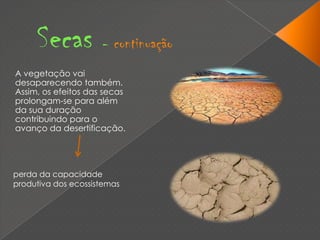 Secas - continuaçãoA vegetação vai desaparecendo também. Assim, os efeitos das secas prolongam-se para além da sua duração contribuindo para o avanço da desertificação.perda da capacidade produtiva dos ecossistemas