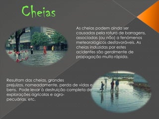 CheiasAs cheias podem ainda ser causadas pela rotura de barragens, associadas (ou não) a fenómenos meteorológicos desfavoráveis. As cheias induzidas por estes acidentes são geralmente de propagação muito rápida.Resultam das cheias, grandes prejuízos, nomeadamente, perda de vidas e bens.  Pode levar à destruição completa de explorações agrícolas e agro-pecuárias, etc. 