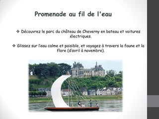 Promenade au fil de l'eau
 Découvrez le parc du château de Cheverny en bateau et voitures
électriques.
 Glissez sur l’eau calme et paisible, et voyagez à travers la faune et la
flore (d’avril à novembre).
 