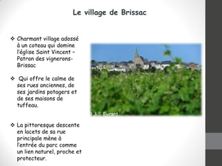 Le village de Brissac
 Charmant village adossé
à un coteau qui domine
l’église Saint Vincent –
Patron des vignerons-
Brissac
 Qui offre le calme de
ses rues anciennes, de
ses jardins potagers et
de ses maisons de
tuffeau.
 La pittoresque descente
en lacets de sa rue
principale mène à
l’entrée du parc comme
un lien naturel, proche et
protecteur.
 