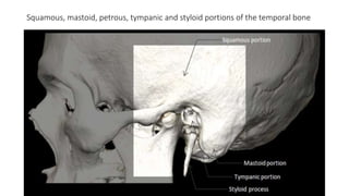 Squamous, mastoid, petrous, tympanic and styloid portions of the temporal bone
 