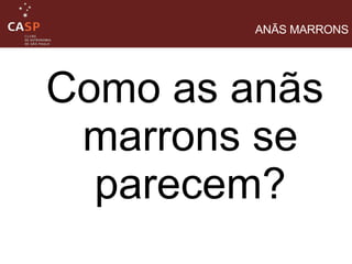 Como as anãs marrons se parecem? ANÃS MARRONS 