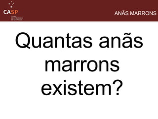 ANÃS MARRONS Quantas anãs marrons existem? 