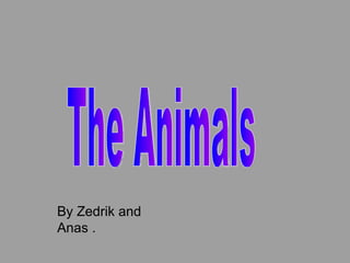 By Zedrik and Anas . The Animals 